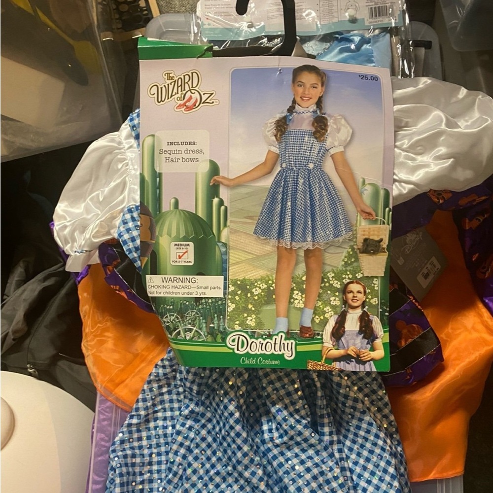 Dorothy wizard of Oz costume
